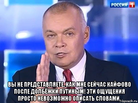  вы не представляете, как мне сейчас кайфово после долбёжки путиным! эти ощущения просто невозможно описать словами., Мем Киселёв 2014