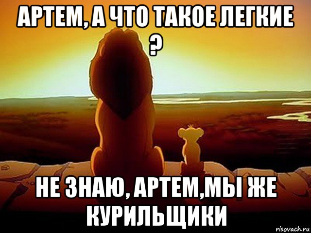 артем, а что такое легкие ? не знаю, артем,мы же курильщики, Мем  король лев