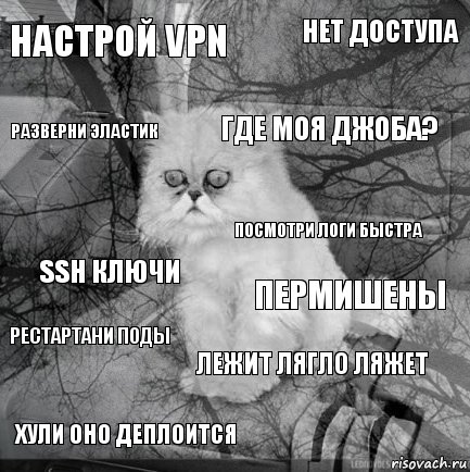 настрой VPN пермишены где моя джоба? хули оно деплоится ssh ключи нет доступа лежит лягло ляжет разверни Эластик рестартани поды посмотри логи быстра, Комикс  кот безысходность