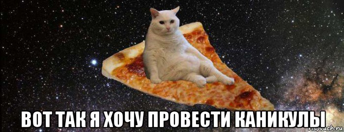 Кот с пиццей мем вот так я хочу провести каникулы, Мем Кот на пицце в космосе - Рисовач .Ру