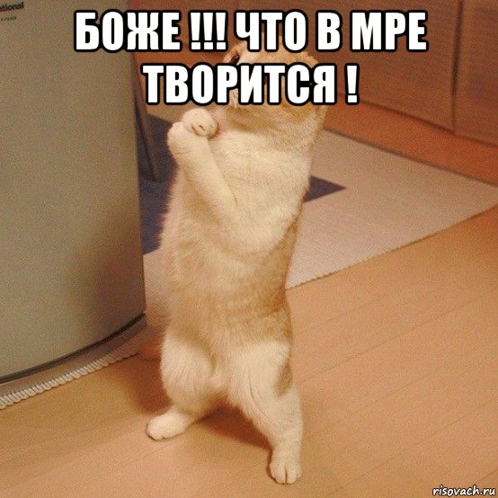 боже !!! что в мре творится ! 