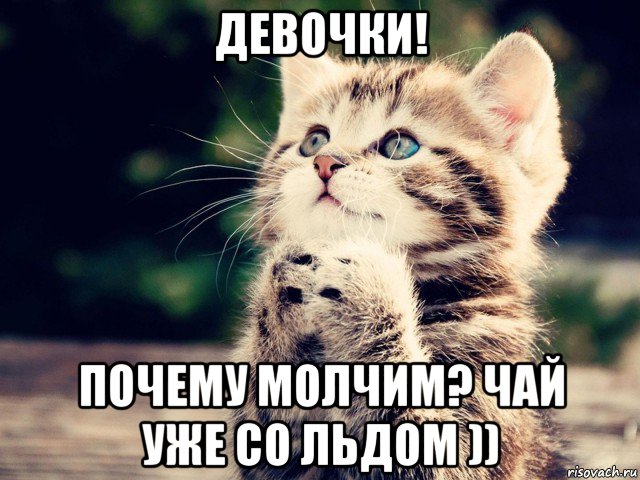 Группа что молчим картинки