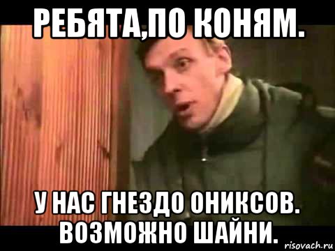 ребята,по коням. у нас гнездо ониксов. возможно шайни., Мем Ларин по коням