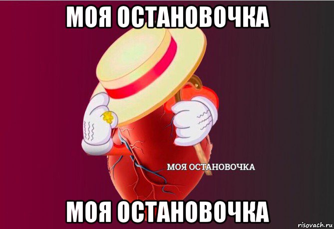 моя остановочка моя остановочка, Мем   Моя остановочка