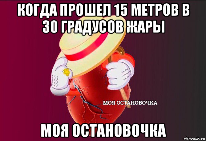 когда прошел 15 метров в 30 градусов жары моя остановочка, Мем   Моя остановочка