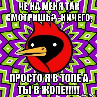 че на меня так смотришь? -ничего, просто я в топе а ты в жопе!!!!!, Мем Омская птица