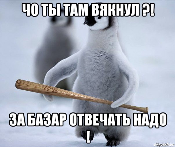 Куда здесь. Пингвин гопник. За базарама отвечать надо. За базар надо отвечать надо. Чë вякнул Мем.