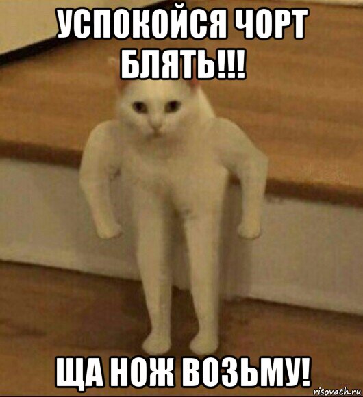 успокойся чорт блять!!! ща нож возьму!, Мем  Полукот