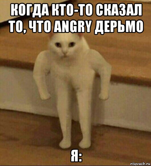 когда кто-то сказал то, что angry дерьмо я:, Мем  Полукот