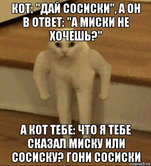 кот: "дай сосиски", а он в ответ: "а миски не хочешь?" а кот тебе: что я тебе сказал миску или сосиску? гони сосиски, Мем  Полукот