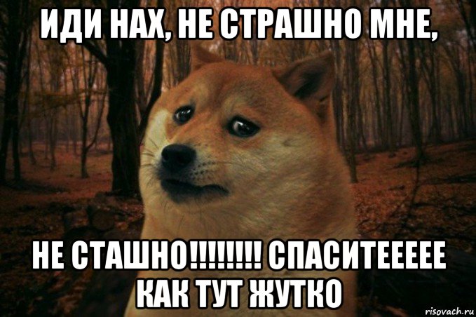 иди нах, не страшно мне, не сташно!!!!!!!! спаситеееее как тут жутко, Мем SAD DOGE