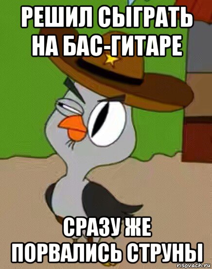 решил сыграть на бас-гитаре сразу же порвались струны, Мем    Упоротая сова