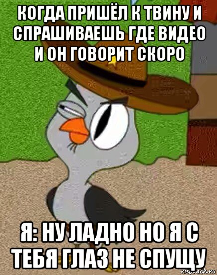 когда пришёл к твину и спрашиваешь где видео и он говорит скоро я: ну ладно но я с тебя глаз не спущу, Мем    Упоротая сова