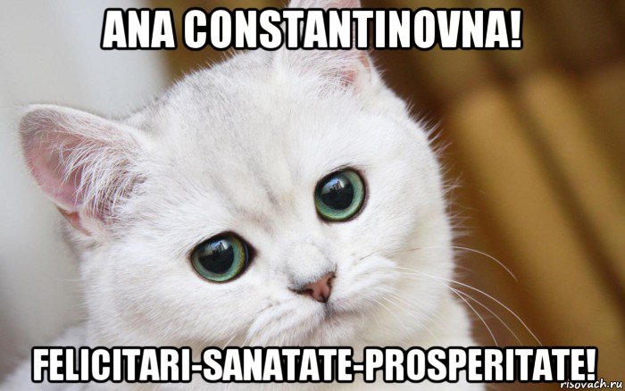 ana constantinovna! felicitari-sanatate-prosperitate!, Мем  В мире грустит один котик