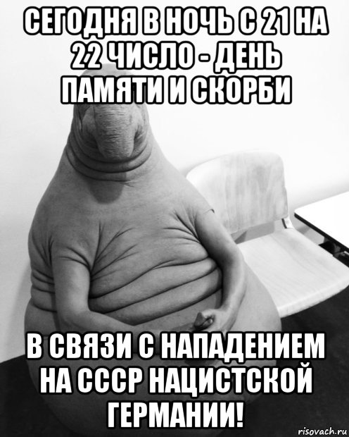 сегодня в ночь с 21 на 22 число - день памяти и скорби в связи с нападением на ссср нацистской германии!, Мем  Ждун