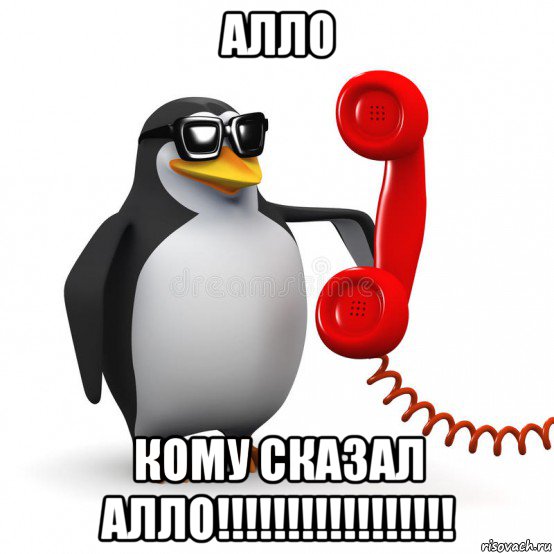 Ало ала папа. Алло. Алло Мем. Алло это Мем с пингвином. Алё Мем.