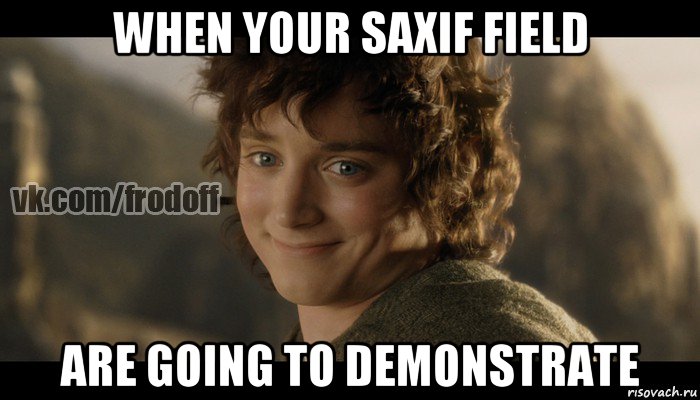 when your saxif field are going to demonstrate, Мем  Фродо