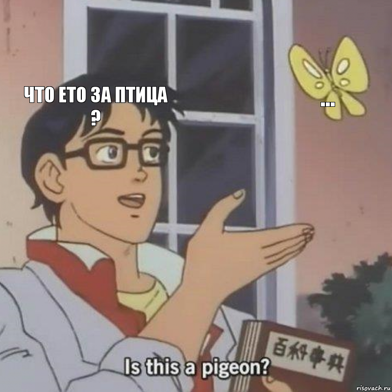 ЧТО ЕТО ЗА ПТИЦА ? ... , Комикс  Is this