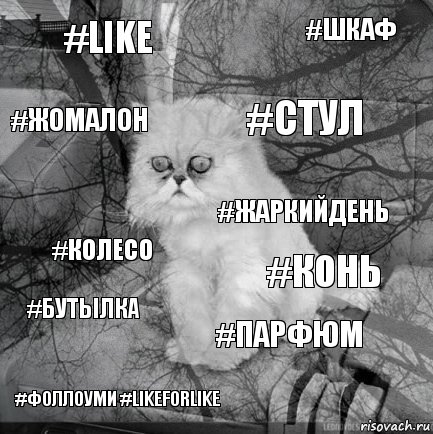 #like #конь #стул #фоллоуми #likeforlike #колесо #шкаф #парфюм #жомалон #бутылка #жаркийдень, Комикс  кот безысходность