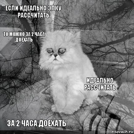 если идеально элку рассчитать идеально рассчитать  за 2 часа доехать    то можно за 2 часа доехать  , Комикс  кот безысходность