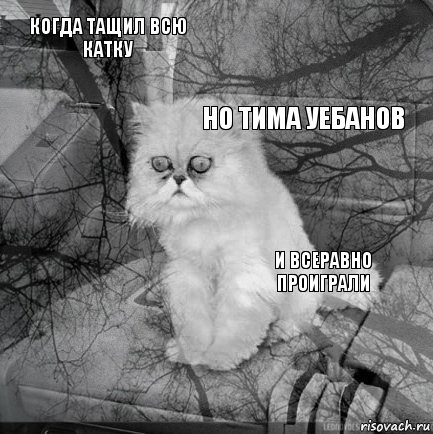 Когда тащил всю катку И всеравно проиграли Но Тима уебанов       , Комикс  кот безысходность