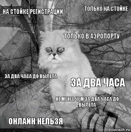 на стойке регистрации за два часа только в аэропорту онлайн нельзя за два часа до вылета только на стойке не менее чем за два часа до вылета   , Комикс  кот безысходность