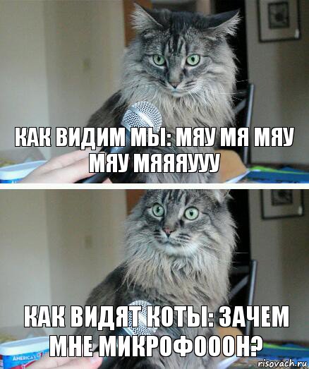 Как видим мы: Мяу мя мяу мяу мяяяууу Как видят коты: Зачем мне микрофооон?, Комикс  кот с микрофоном