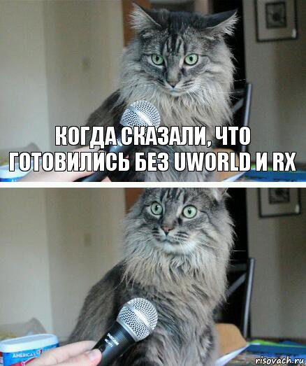 Когда сказали, что готовились без uworld и rx , Комикс  кот с микрофоном
