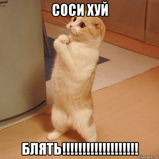 соси хуй блять!!!!!!!!!!!!!!!!!!!