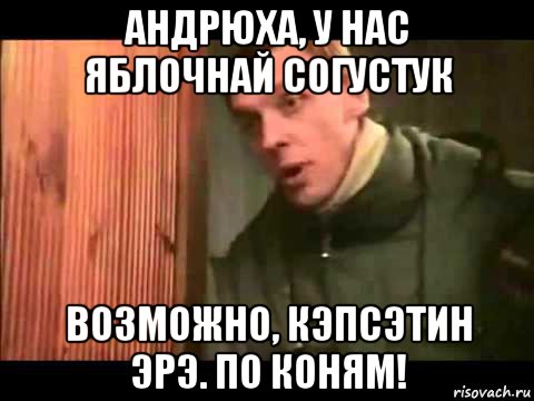 андрюха, у нас яблочнай согустук возможно, кэпсэтин эрэ. по коням!, Мем Ларин по коням