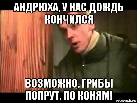 андрюха, у нас дождь кончился возможно, грибы попрут. по коням!, Мем Ларин по коням