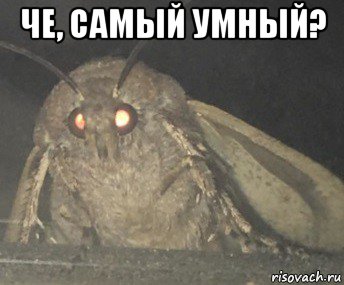 че, самый умный? 