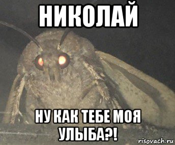 николай ну как тебе моя улыба?!