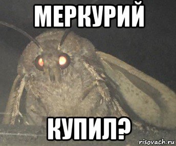 меркурий купил?, Мем Матылёк