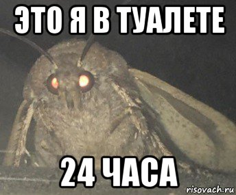 это я в туалете 24 часа