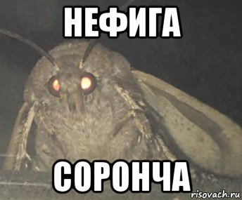 нефига соронча, Мем Матылёк