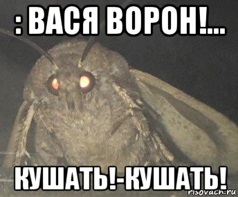 : вася ворон!... кушать!-кушать!