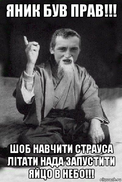 яник був прав!!! шоб навчити страуса літати нада запустити яйцо в небо!!!