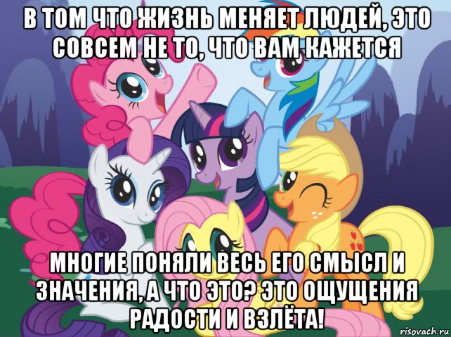 в том что жизнь меняет людей, это совсем не то, что вам кажется многие поняли весь его смысл и значения, а что это? это ощущения радости и взлёта!, Мем My little pony