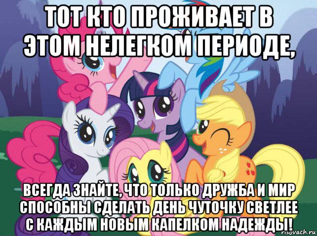 тот кто проживает в этом нелегком периоде, всегда знайте, что только дружба и мир способны сделать день чуточку светлее с каждым новым капелком надежды!, Мем My little pony