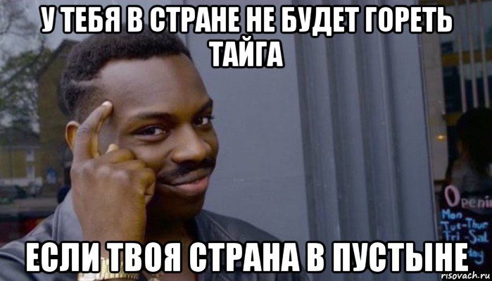 у тебя в стране не будет гореть тайга если твоя страна в пустыне, Мем Не делай не будет