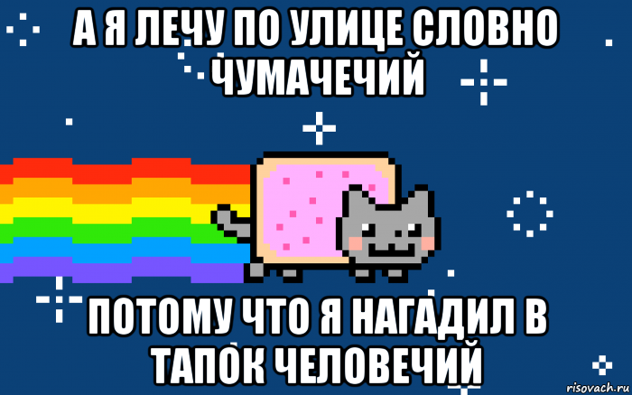 Иду по улице словно. Нян Кэт Мем. Мемы нян Кэт. Мемы нян Кэт мемы. Мем я лечу по улице словно чумачечий.