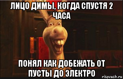 лицо димы, когда спустя 2 часа понял как добежать от пусты до электро, Мем Осел из Шрека