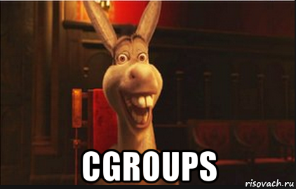  cgroups, Мем Осел из Шрека