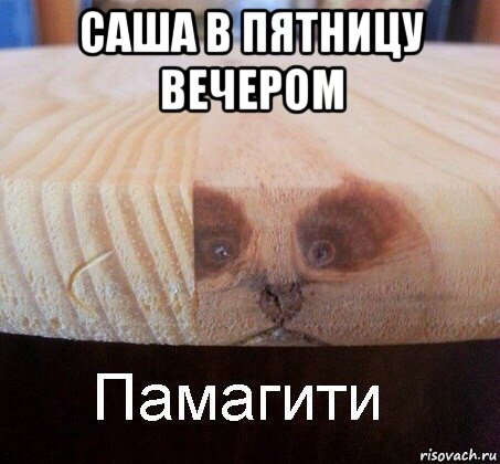 саша в пятницу вечером , Мем   Памагити