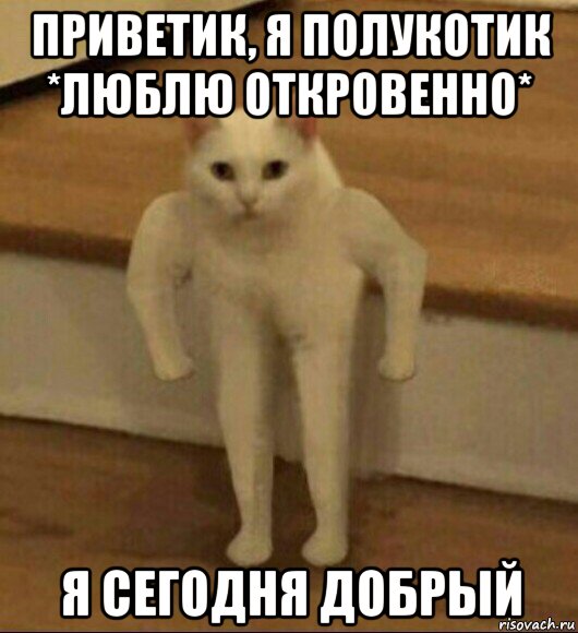 приветик, я полукотик *люблю откровенно* я сегодня добрый, Мем  Полукот