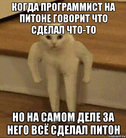 когда программист на питоне говорит что сделал что-то но на самом деле за него всё сделал питон, Мем  Полукот