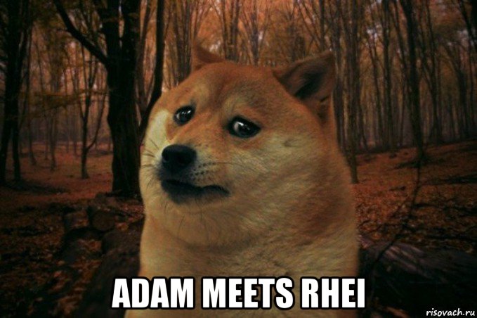  adam meets rhei, Мем SAD DOGE