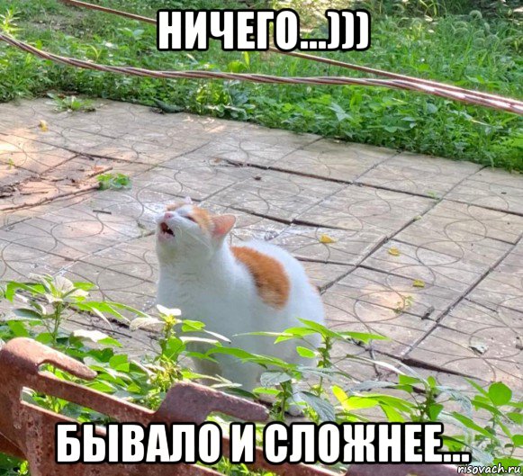 Ничто не бывает 2 5