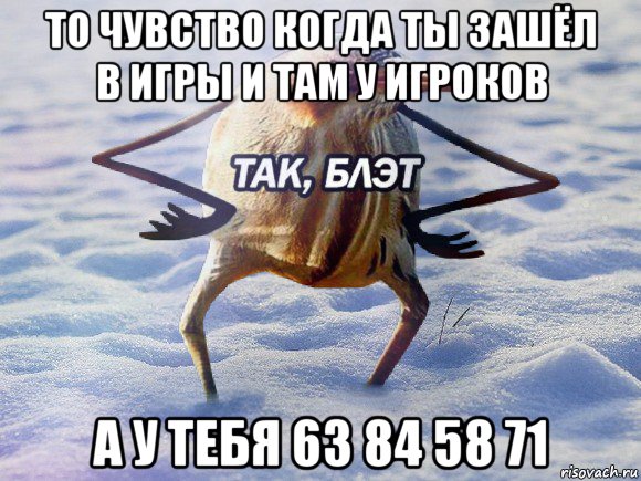 то чувство когда ты зашёл в игры и там у игроков а у тебя 63 84 58 71, Мем  Так блэт птица с руками